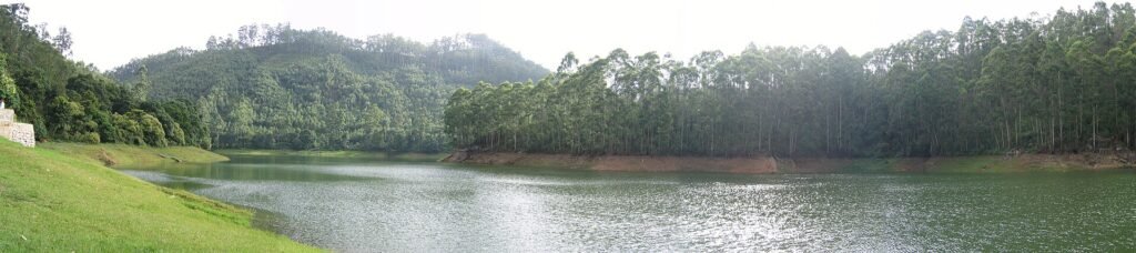 Forested shoreline at Echo Point, Munnar