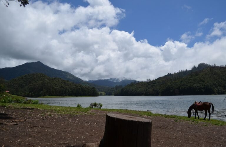 Kundala Lake with hills behind, near Munnar