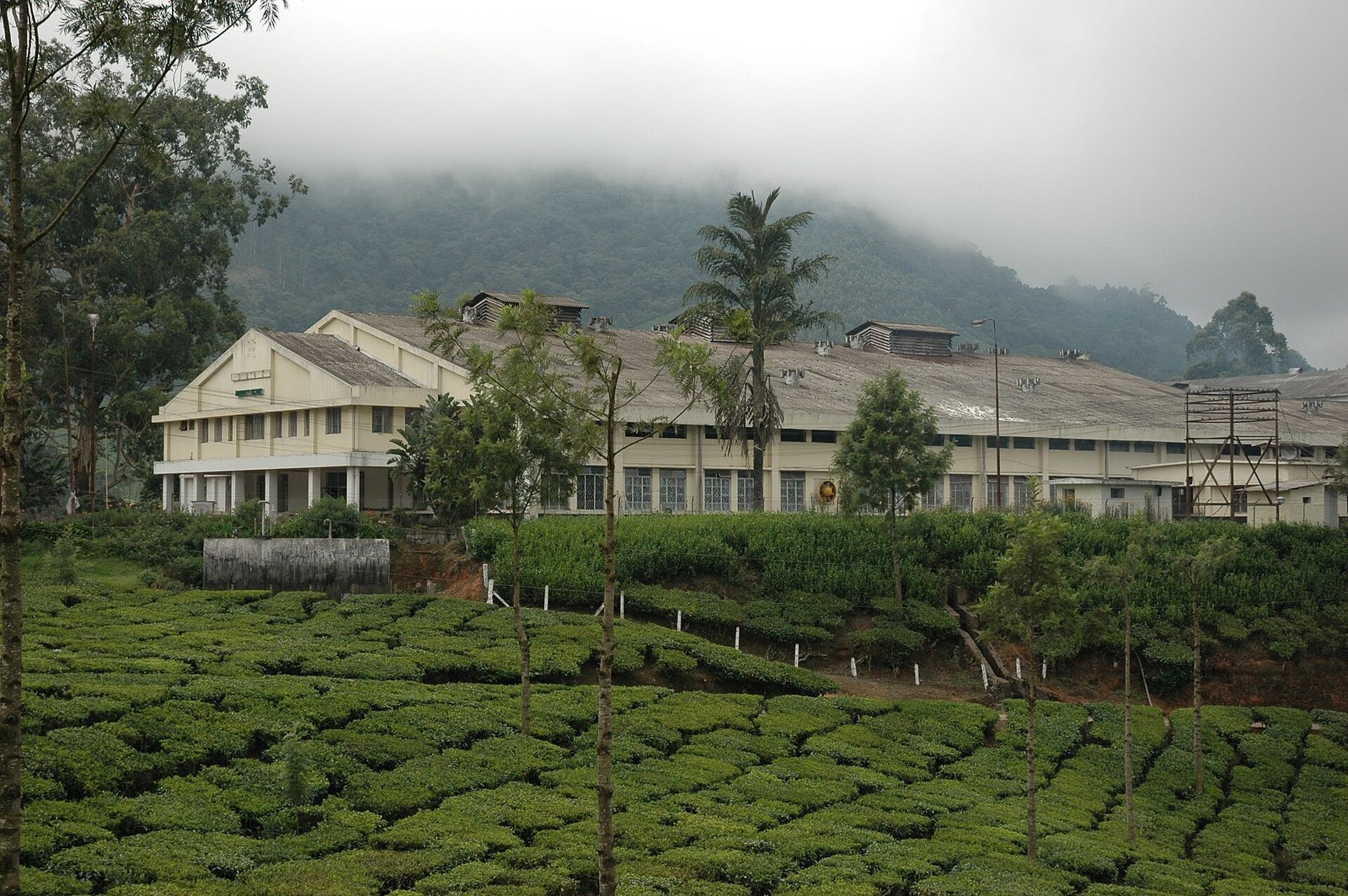 A tea factory among the plantations near Munnar