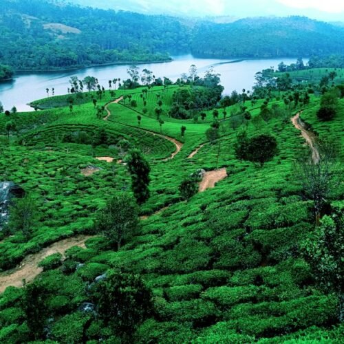 Munnar hills and valleys in the Western Ghats, Kerala