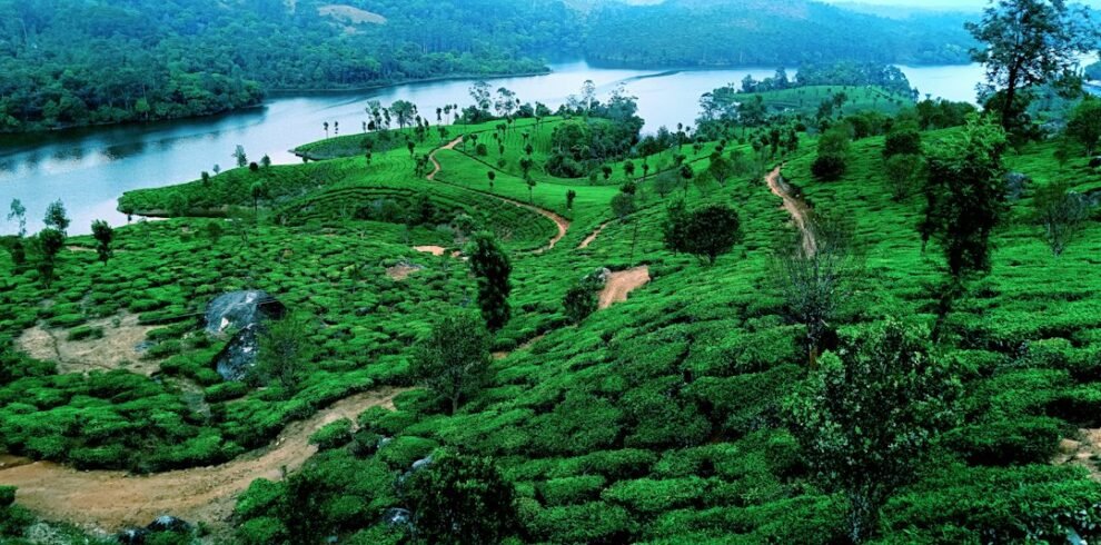 Munnar hills and valleys in the Western Ghats, Kerala