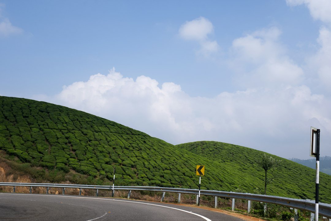 A curving hill road through lush tea plantations on the final climb to Munnar