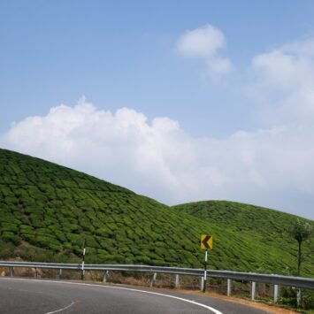 A road curving through green tea plantations on the hills of Munnar, Kerala